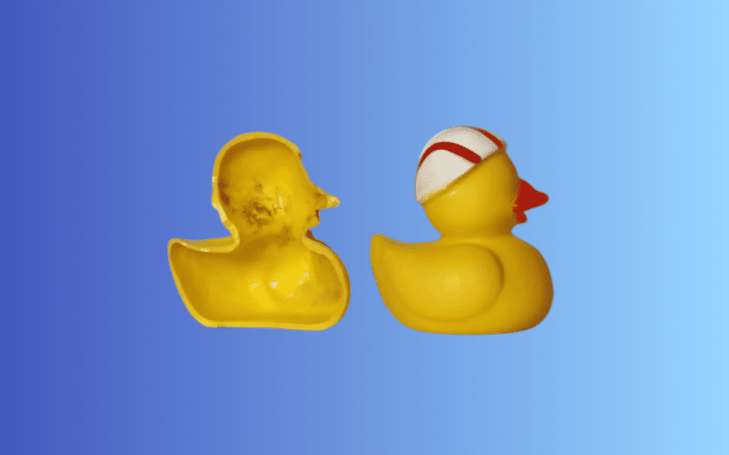 how to keep bath toys from molding