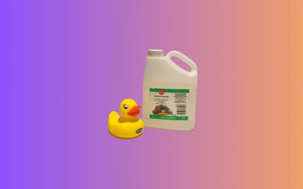How to Disinfect Bath Toys in 2023 how to disinfect bath toys